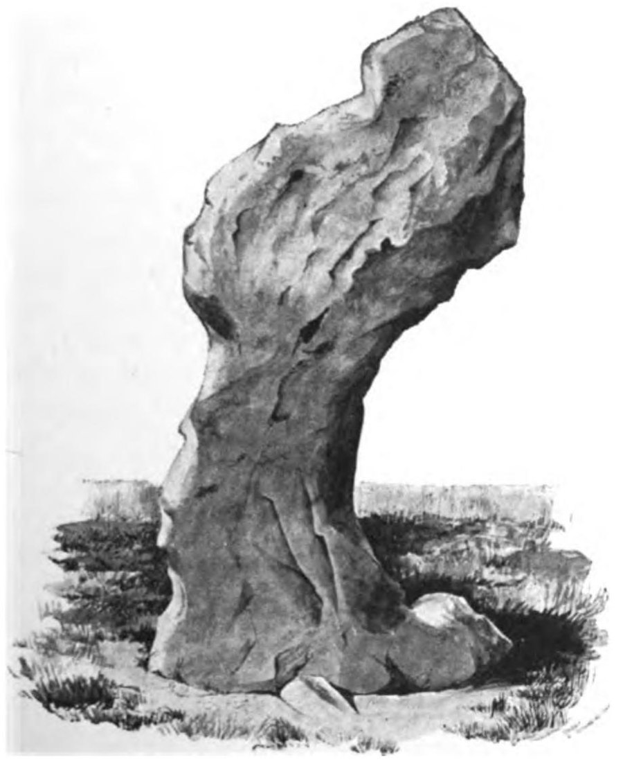 Drawing of the King Stone, a tall, weathered standing stone that leans forward at the top, standing in rough grass